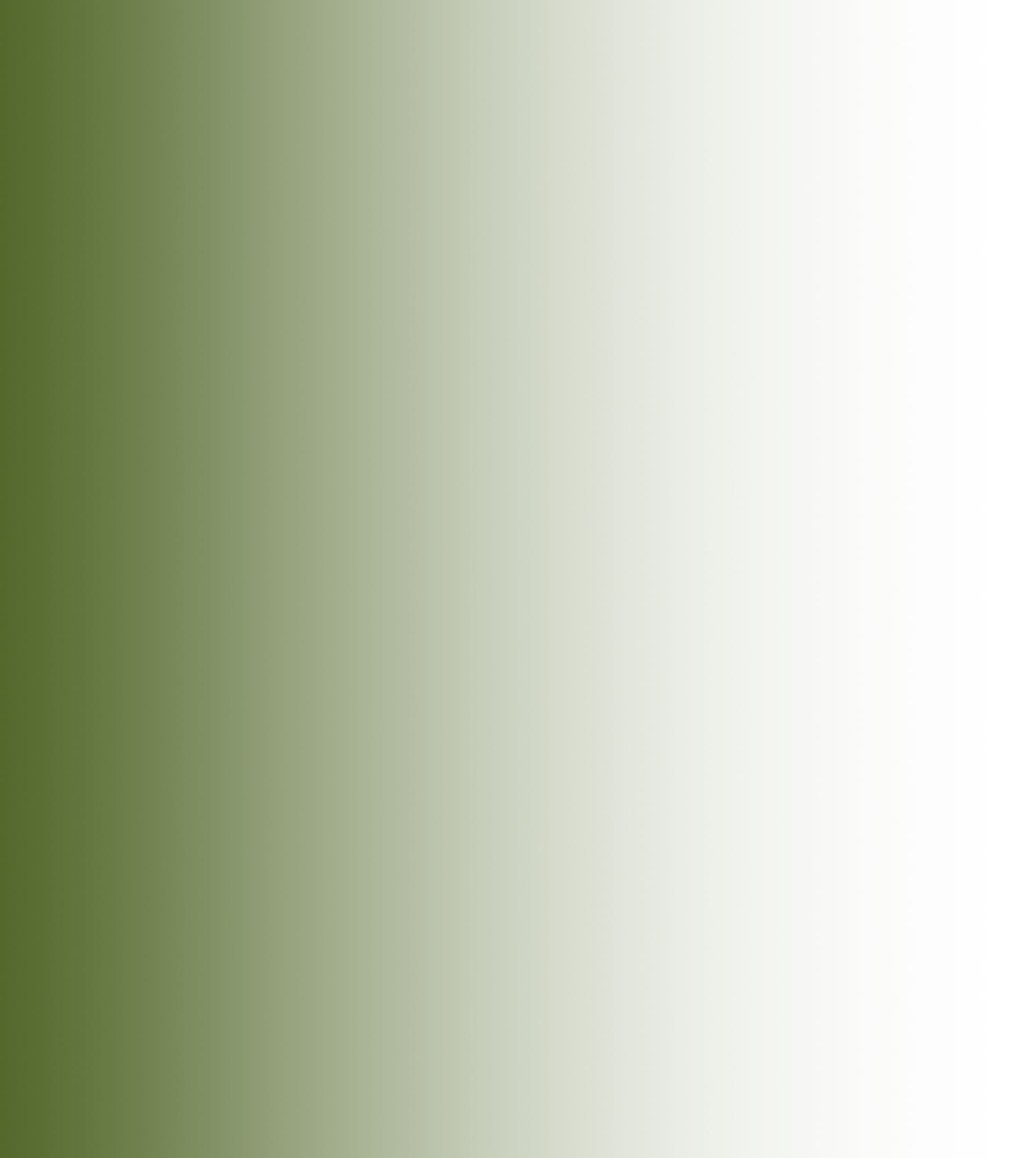 Moss Green Colored Overlay Gradient Transparent